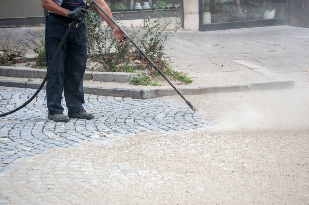  Pearl Beach, MI Pressure Washing Pros