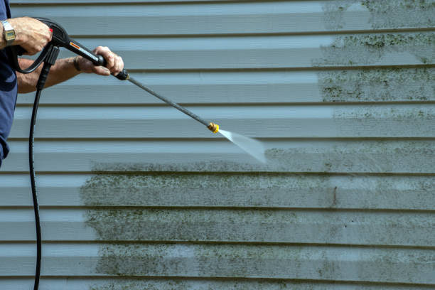 Best Driveway Pressure Washing  in Pearl Beach, MI